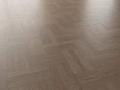  Parquet Oak Missisippi WWL set 2 3D model