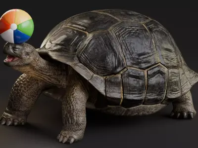 Realistic Galapagos Tortoise Low-poly 3D model