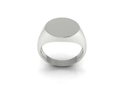 Ring 154 3D print model