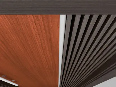 Executive Wooden Door with Mahogany Feel 3D model