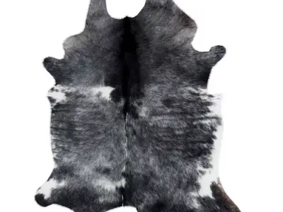 Animal skin rug 12 3D model
