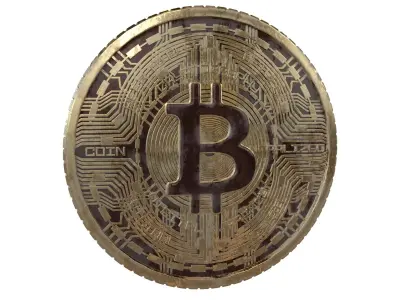 Bitcoin v6 004 3D model