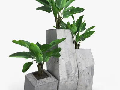 Concrete Plant Banana Palm 3D model