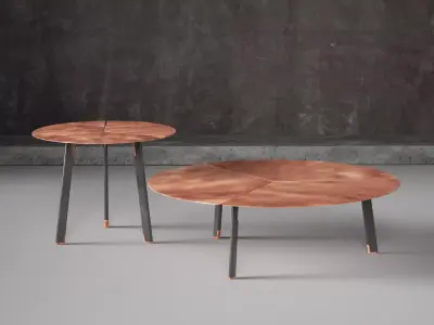 Placas coffee table with two legs and circular top 3D model