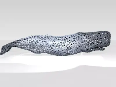Whale Voronoi 3D model