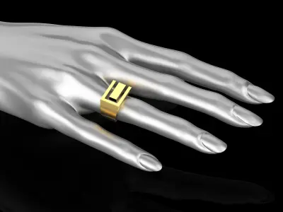 Abstract Ring N134 3D print model