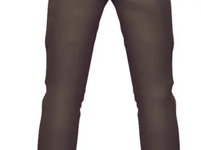 Brown Pants - Denim Trousers - Beige Jeans - Casual Wear Clothes 3D model