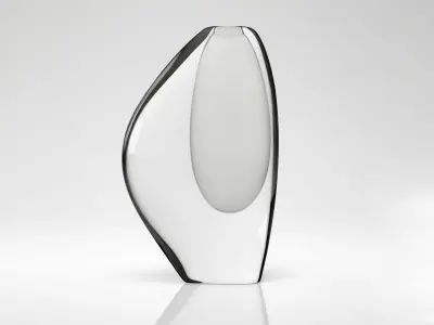 TIMO SARPANEVA and ANTONIO DA ROS Vases 3D model