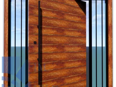 Exterior Pivot Door with Glasses Revit Family full parametric 3D model