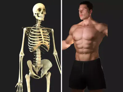 Full Male Body With Skeleton 3D model
