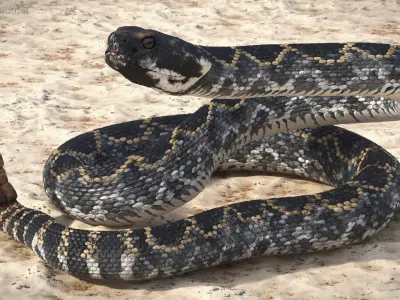  Rattlesnake Attack Animated Rigged 