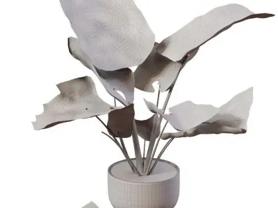 Elephant ear Caladium with green and dry leaves 3D model