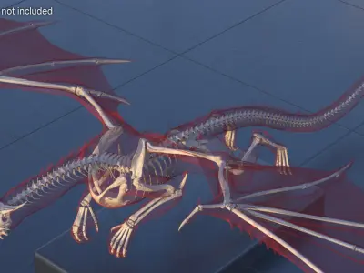  Flying Pose Dragon Skeleton in Transparent Shell 