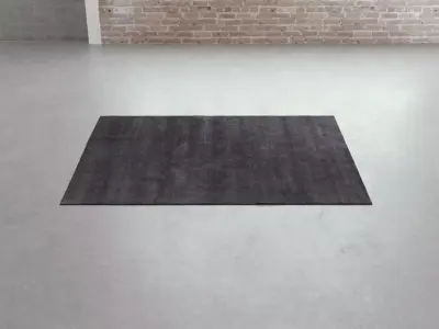 Thaila Plain Carpets 3D model