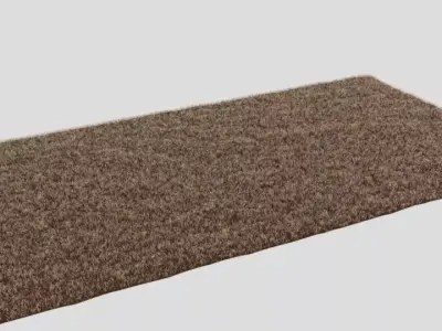 Carpet shaggy rug Free 3D model