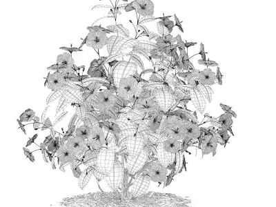 Hibiscus Flowers Hibiscus rosa-sinensis 3D model