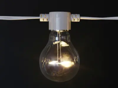 Garland and Bulb String 2 3D model