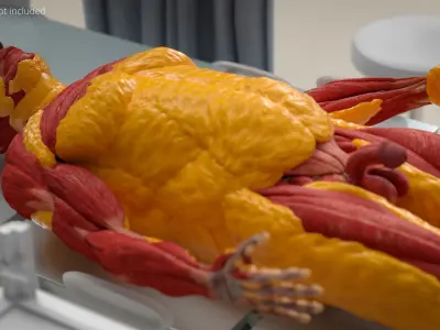  Full-Body Anatomy Model with Muscles and Fat Deposits 