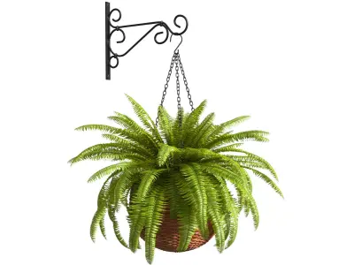 Hanging basket flowerpot rattan pot with flowers Fern 3D model