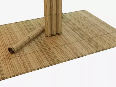Bamboo Mat tatami 3D model