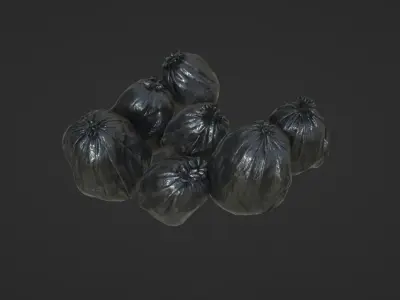 Plastic Bags 3D model