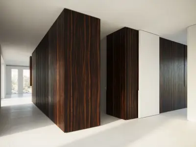 Ebony wood veneer seamless texture 3D model