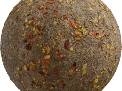 Autumn Fallen Leaves on Dirt Ground Seamless PBR Texture Texture