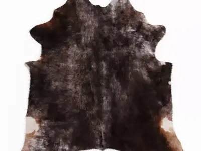 Cowhide Leather Rug 3D model