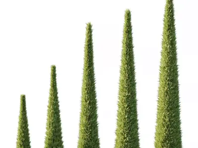 Excellent collection of Outdoor plants 32 Different Models 0036 3D Model Pack