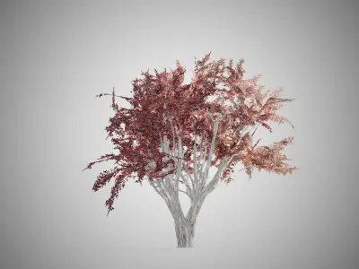 Crape Myrtle Fall Tree Low-poly 3D model