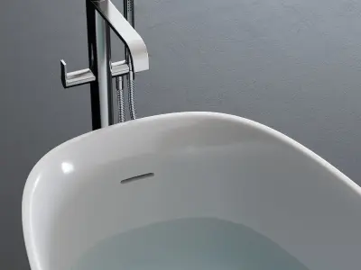 Disenia River Bathtub Low-poly 3D model