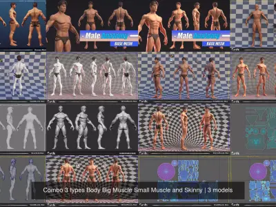 Combo 3 types Body Big Muscle Small Muscle and Skinny 3D Model Pack