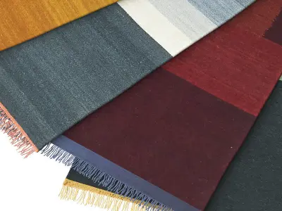 Another Rug AP2 3D model