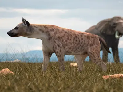  African Mammals Rigged for Cinema 4D Collection 2 