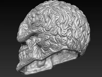 Fear Skull 3D model 3D print model