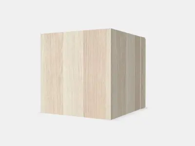 KALLAX Insert with door 1 Low-poly 3D model