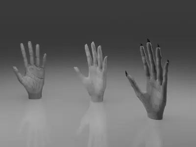 Hands 3D model Low-poly 3D model