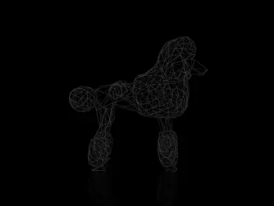 Poodle Wireframe Low-poly 3D model