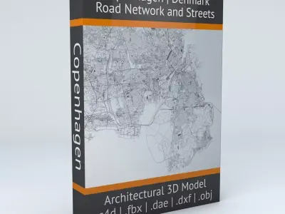 Copenhagen Road Network and Streets 3D model