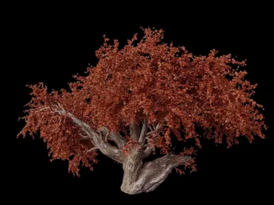 red maple tree 3D model