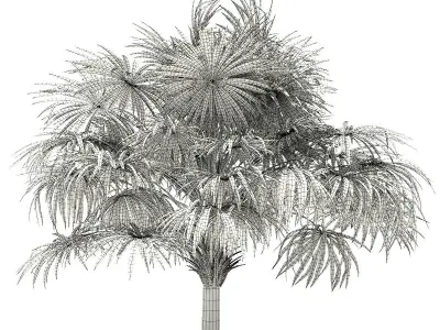 Thatch Palm Tree 3D Model 4m 3D model
