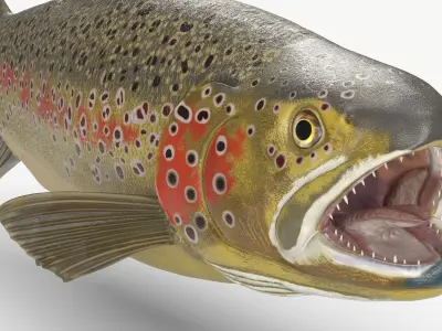  Rigged Freshwater Fish Collection 