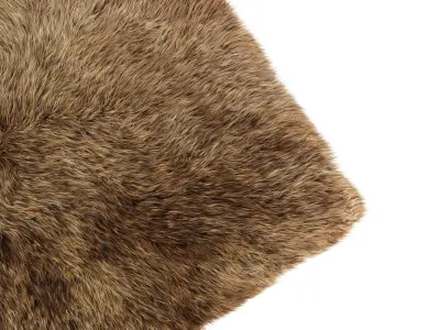 Turkish carpet TOUCH ME LONG 3D model