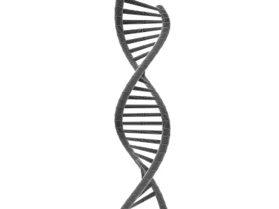 DNA Molecule v2 001 Low-poly 3D model