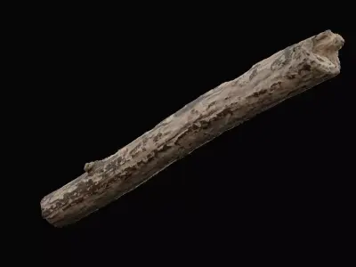 Tree Debris Branch Low-poly 3D model