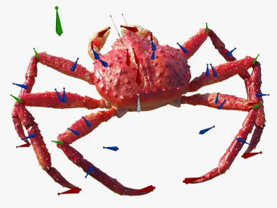  Paralithodes Crab Walking Animated Rigged For Blender 