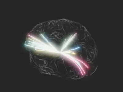 Brain Impulses Stylized Animation 3D model