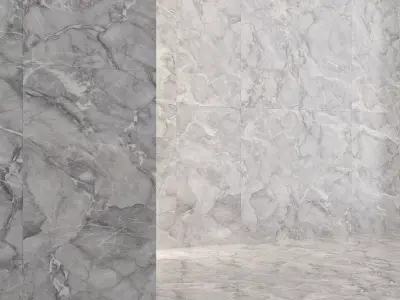 Marble Silver Gray Porcelain Tile 35 Texture