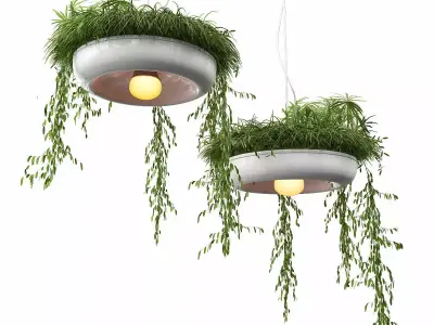 Chandelier with plants 3D model