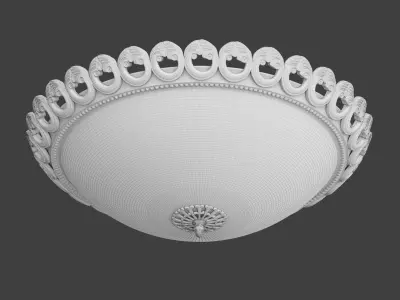 Wall and ceiling lamp Odeon Light Grovana 3D model